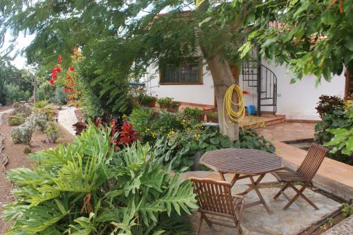 House - Valle Gran Rey - 1 bedrooms - 2 persons
